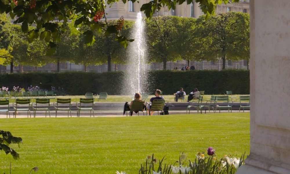 pistes pour développer la biodiversité en ville