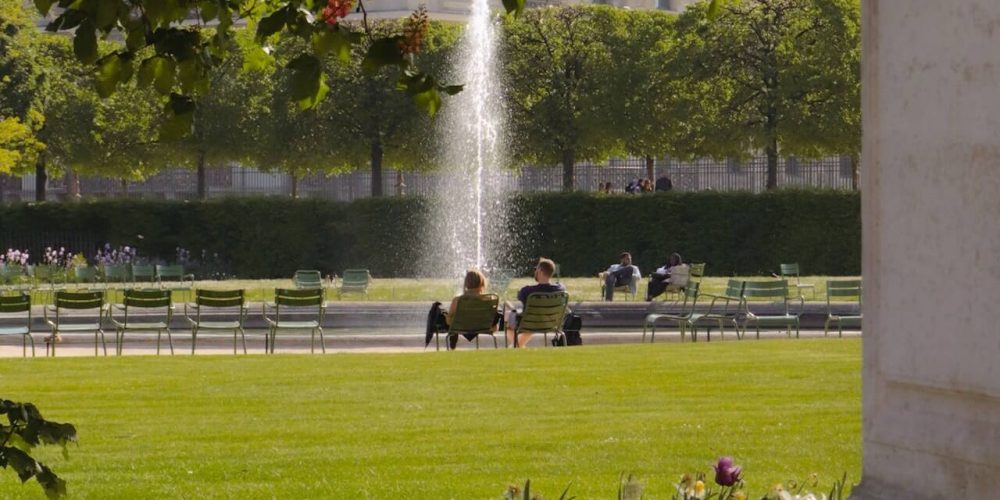 9 pistes pour développer la biodiversité en ville