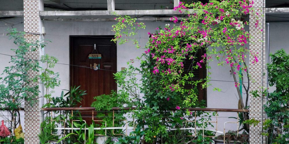 Faire un potager sur son balcon : notre guide