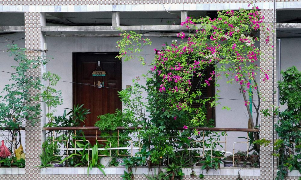 cultiver un potager en ville